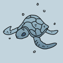 BlueTurtle_d Profile Picture