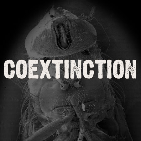 Coextinction's profile picture. Coextinction Recordings is an online record label providing one of a kind sessions by Unsane, Goes Cube, Shrinebuilder and Pigs(NYC) to name a few...