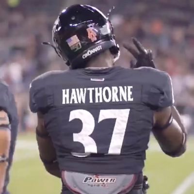 steven hawthorne Profile