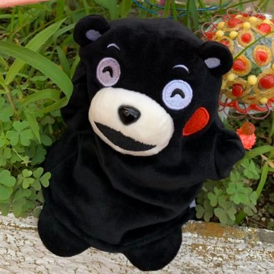 Kumamon Daisukidamon くまモン大好きだモン 🍠구마몬 다이스키다몬さんのプロフィール画像