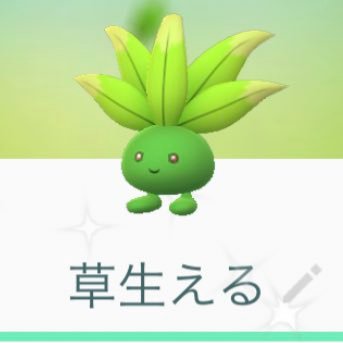 ポケモンGOサボりまくってたんで、ポケモンカード始めました