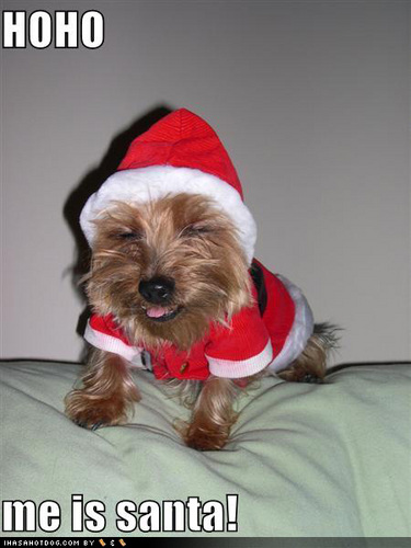 OurHolidayParty's profile picture. HEY ITS OUR HOLIDAY PARTY