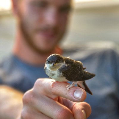 _IntroVentures's profile picture. https://t.co/Qr6CKgPF7g