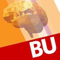 Center for Systems Neuroscience, Boston University(@buCSNneuro) 's Twitter Profile Photo