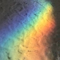 GabGoz (@gozgab) 's Twitter Profile
