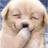 MyWorstFavorite's profile image