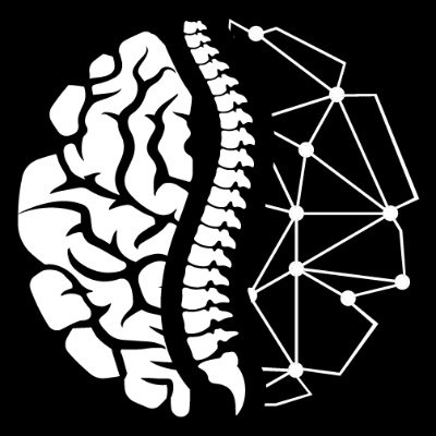 Dr. Shawn Beaudette's spine motor control lab at Brock University investigating neuromuscular control strategies and movement patterns https://t.co/dBy92NujCj