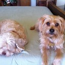 Sally Barnett - @Sal_ly96 - Twitter