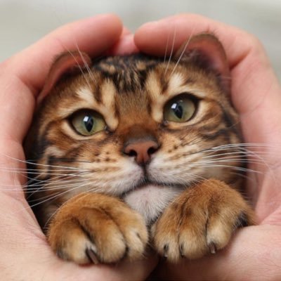 pati_molasi's profile picture. Fotoğraf ve videolarınızı gönderebilirsiniz.