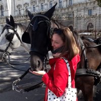 Lonneke (@equinehistorian) 's Twitter Profile