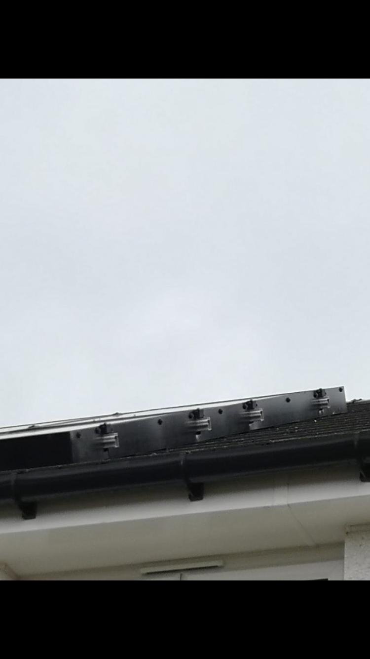 Solar panel pigeon, bird and pest proofing service in Glasgow serving Central Scotland. Industry leading kit, installed by a reputable local contractor.