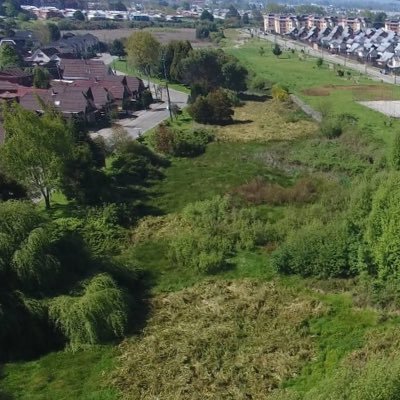 Humedal Urbano Krahmer es parte del plan maestro de aguas lluvias de Valdivia - fuente de vida-