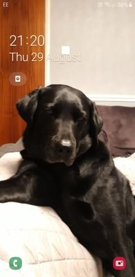 DeanNaylor6's profile picture. love tarn