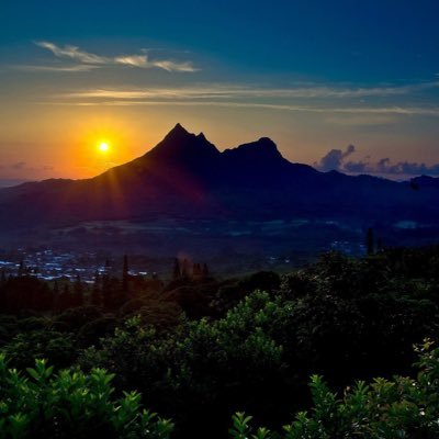 LethaAnn1's profile picture. Retired Honolulu Police Department Captain enjoying a new adventure everyday online and in the real world.