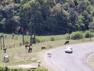 Jorgemaribarra's profile picture. 