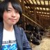 田中あつみ 但馬牛飼い精肉店【田中畜産】 (@tanatiku) Twitter profile photo 田中あつみ 但馬牛飼い精肉店【田中畜産】 (@tanatiku) Twitter profile photo