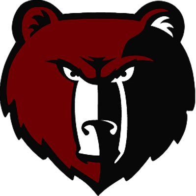 DavidsonBears Profile Picture