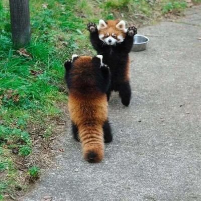 xxxvnn's profile picture. 