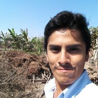 Angel Rojas (@luisrojas711) 's Twitter Profile