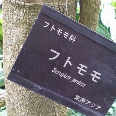 ゆーき Htmm グラブルのapbp回復ツイート消すくらいなら D 自分のツイッターid を先頭に入れると自分宛にdm で送られるのでtlに流さずに済むぞ ゆーき Htmm グラブルのapbp回復ツイート消すくらいなら D 自分のツイッターid を先頭に入れると自分宛にdm で送られるのでtlに流さずに済むぞ