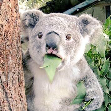 kou_kiyo1026's profile picture. ゲームとスニーカーとファッション

オーディオ好き(情弱)