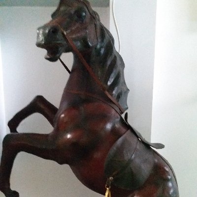 khadija77813446's profile picture. Live life to the fullest