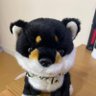 7MiPimsoctwb9Bn's profile picture. 基本的には閲覧目的で使用中