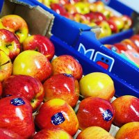 Barton and Redman (@bartonandredman) 's Twitter Profile