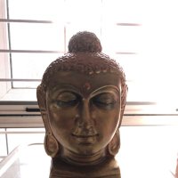 athreya (@athreya49) 's Twitter Profile Photo athreya (@athreya49) 's Twitter Profile Photo