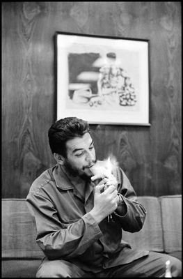 visa_vs's profile picture. 