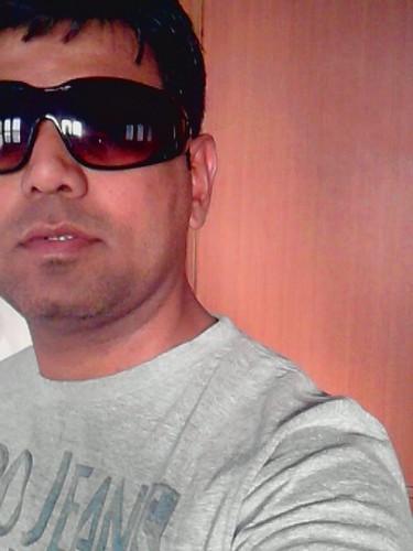Web Designer