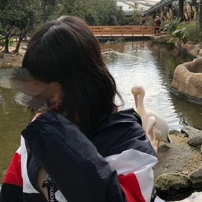 swdskkds's profile picture. 