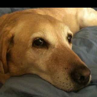 Beadiebob's profile picture. 