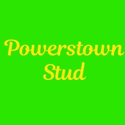 Powerstown Stud provides Boarding, Pre-Training, Breeze Up and Sales Consignment.