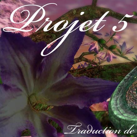 Shendream55's profile picture. 