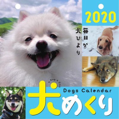 犬めくり 日めくりカレンダー V Twitter 犬めくり おかわり メイ ジュリー 1月26 27日掲載 この暑さでエアコンナシだって 台風直撃の千葉県はもう大変 台風15号 千葉直撃 台風の爪痕 停電 断水 ライフライン 猛暑日 復旧見込み 台風見舞い