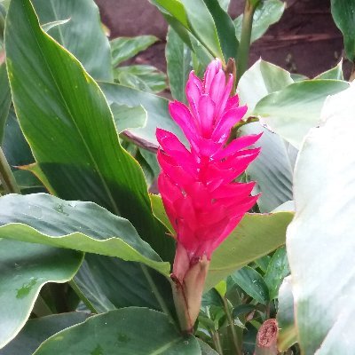 JangGonzaga's profile picture. He who keeps his life will lose it...