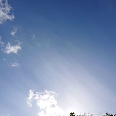 シノアリス、赤ずきんちゃん推しのピノキオ課金勢₍ᐢ。•༝•。ᐢ₎刀剣乱舞もまったりやってます (ノ)*´꒳`*(ヾ)ムニムニ堀川くん好きです 刀ミュの大倶利伽羅沼に勢いよく落ちました🕳
主にシノアリス用垢