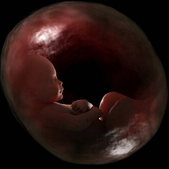 Jaxa03548893's profile picture. 