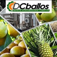 DCballos Cuba(@dcballos) 's Twitter Profile Photo