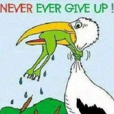 Luke9619's profile picture. for your sake, don't try me!!