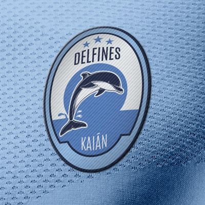 Cuenta oficial del Delfines de Kaián, equipo de la primera división de la Liga de Drakonia.