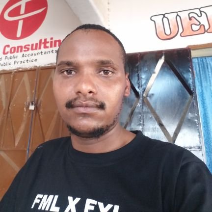 LalaNyerere's profile picture. electrical and electronic engineer