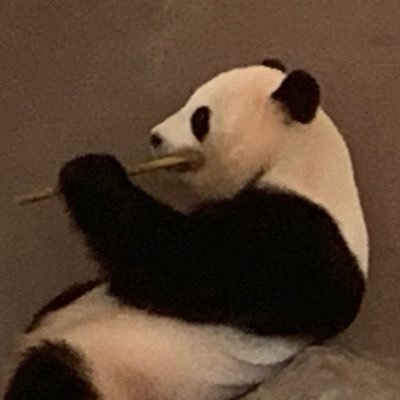 しゅんさんのプロフィール画像