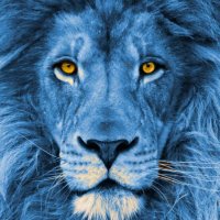 Belle Aire Intermediate (@wchcs_belleaire) 's Twitter Profile Photo Belle Aire Intermediate (@wchcs_belleaire) 's Twitter Profile Photo
