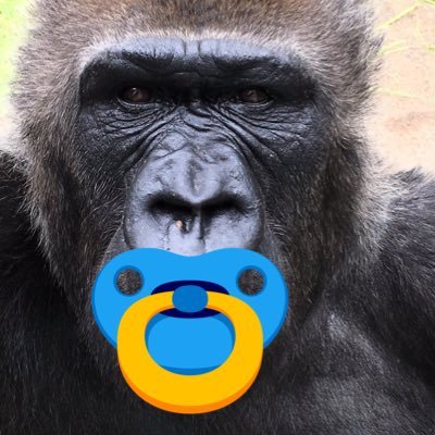 ウホウホごりらさんのプロフィール画像