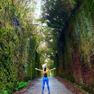 SGorrin's profile picture. Maestra Ed. Infantil 👩‍🏫✨
I love football 💙⚽