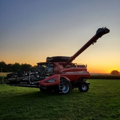 CornCobHole's profile picture. 