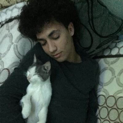 tncibs59's profile picture. 