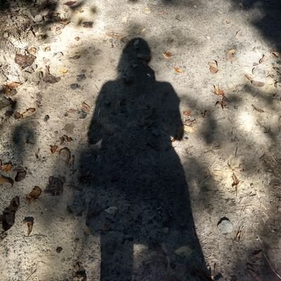 nataliecfelix's profile picture. information sharer. retweet queen.